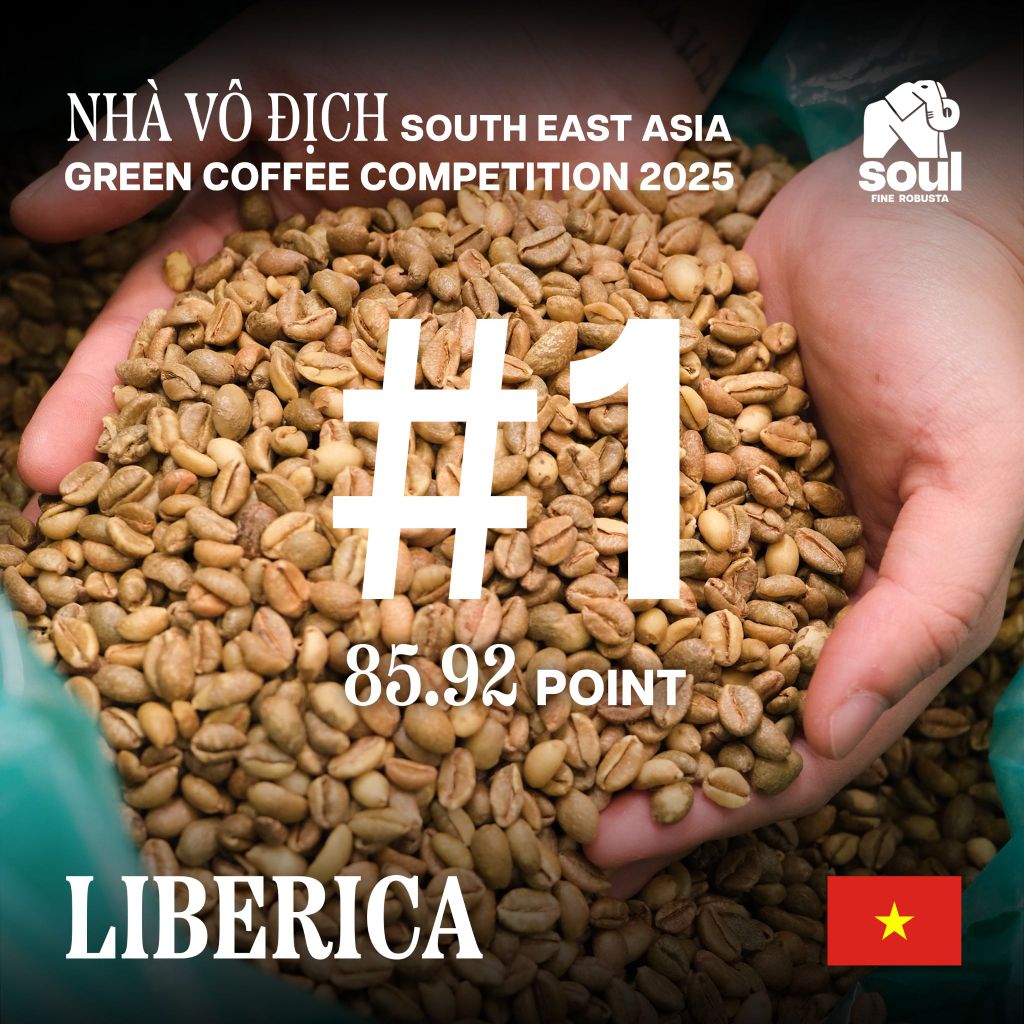 SOUL FINE ROBUSTA VINH DỰ ĐẠT TOP 1 LIBERICA & TOP 10 ROBUSTA TẠI SOUTHEAST ASIA GREEN COFFEE COMPETITION 2025