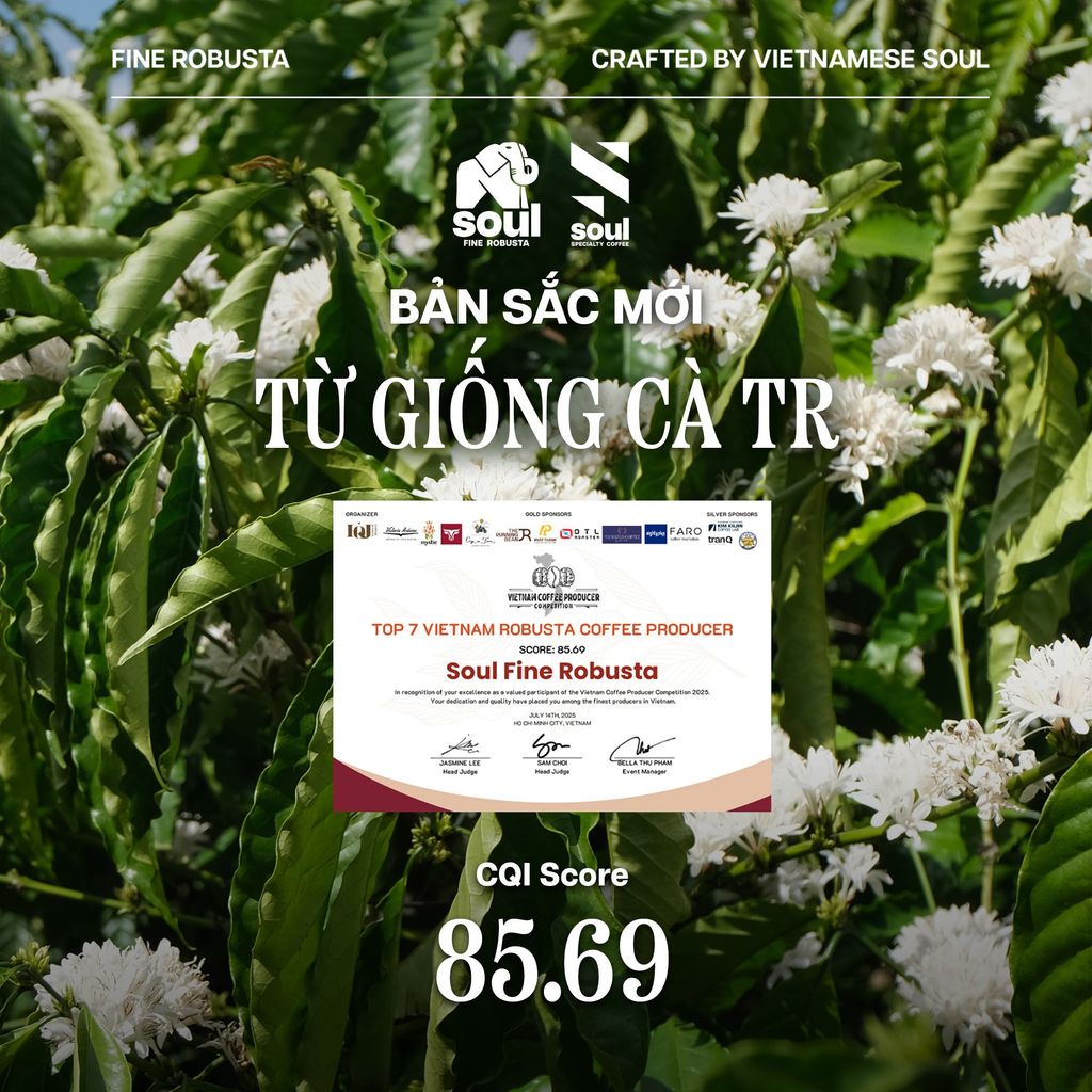 Soul Fine Robusta: Bản Sắc Mới Từ Giống Cà TR