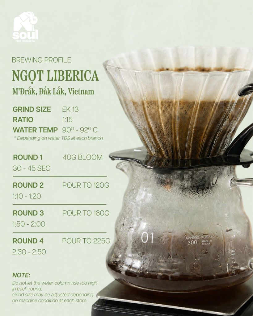 Hướng dẫn pha Pour Over Liberica chuẩn Soul