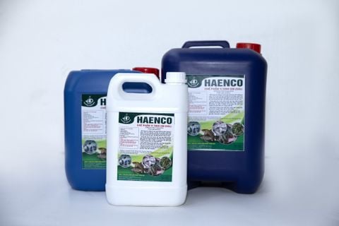 Xử Lý Đáy Ao Nuôi Cá Bằng Chế Phẩm EM – Giải Pháp Hiệu Quả Cho Ao Nuôi Sạch – Cá Lớn Nhanh