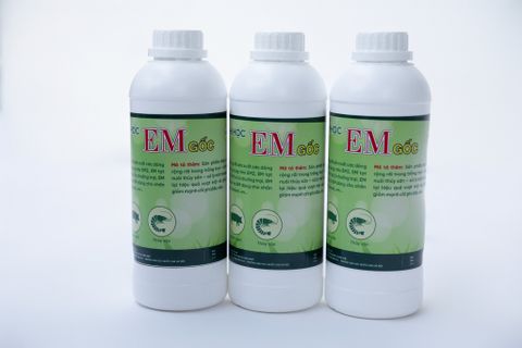 Lưu ý khi kết hợp chế phẩm EM với men tiêu hóa trong nuôi cá cảnh