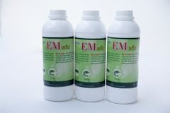 Lưu ý khi kết hợp chế phẩm EM với men tiêu hóa trong nuôi cá cảnh