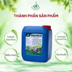 Cách Xử Lý Đáy Ao Bị Hôi Thối Bằng Chế Phẩm EM Chỉ Sau 3 Ngày