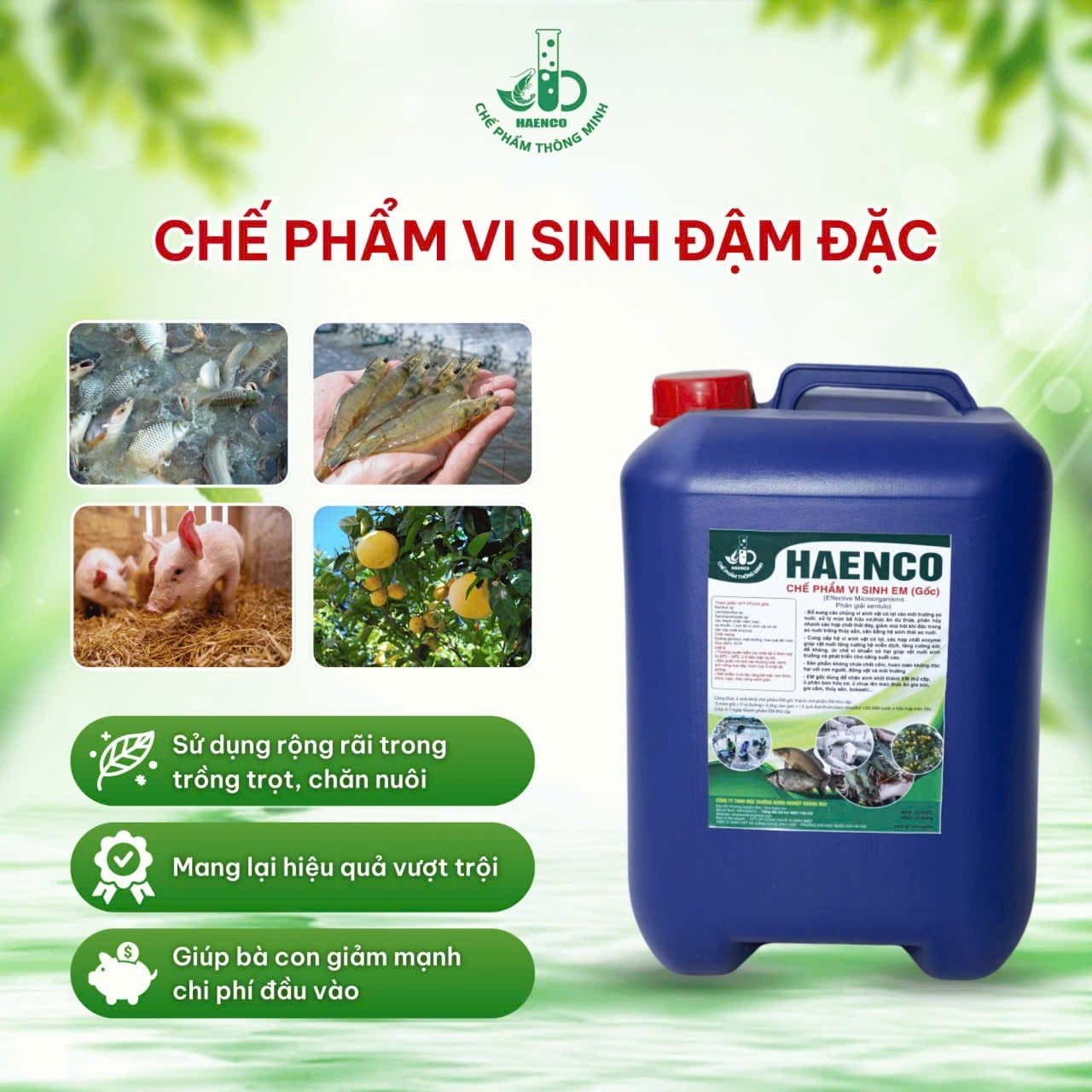 Chế phẩm EM gốc là gì?