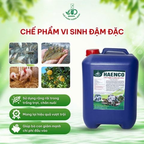 Chế phẩm EM gốc là gì?