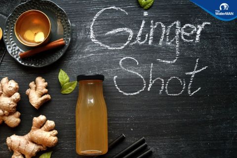 Cách Uống Ginger Shot Hiệu Quả Cho Dân Văn Phòng (Phần 3)