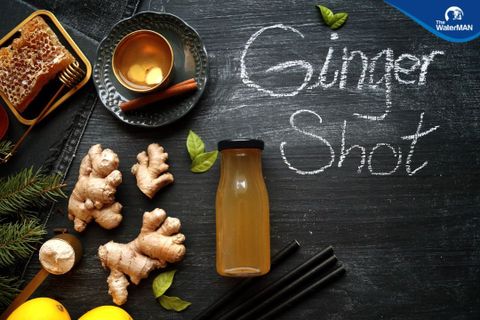 Ginger Shot – Thức Uống Nhỏ, Lợi Ích Lớn Cho Sức Khỏe (Phần 1)