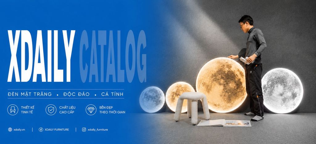 xdaily catalog
