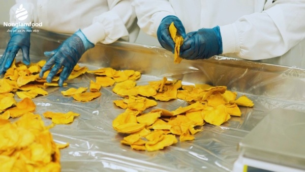 Trái Cây Sấy Nông Lâm Food – Ngon Chuẩn Vị, Sạch Từ Nguồn Nông Sản Việt