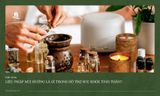 Liệu Pháp Mùi Hương Là Gì Trong Hỗ Trợ Sức Khoẻ Tinh Thần?