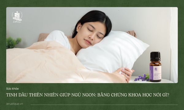 Tinh Dầu Thiên Nhiên Giúp Ngủ Ngon: Bằng Chứng Khoa Học Nói Gì?