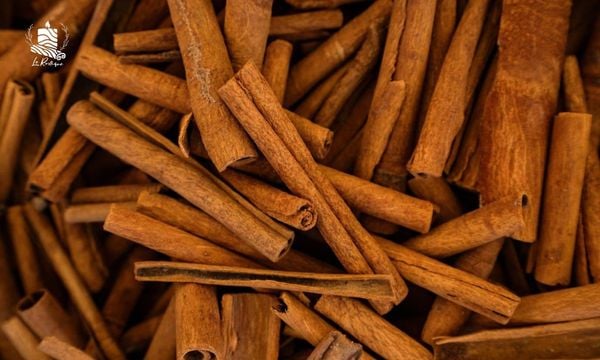 Tinh Dầu Quế - Từ Vị Thuốc Đông Y Tới Biểu Tượng Văn Hóa Việt