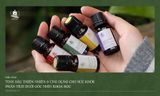 Tinh Dầu Thiên Nhiên & Ứng Dụng Cho Sức Khỏe Dưới Góc Nhìn Khoa Học