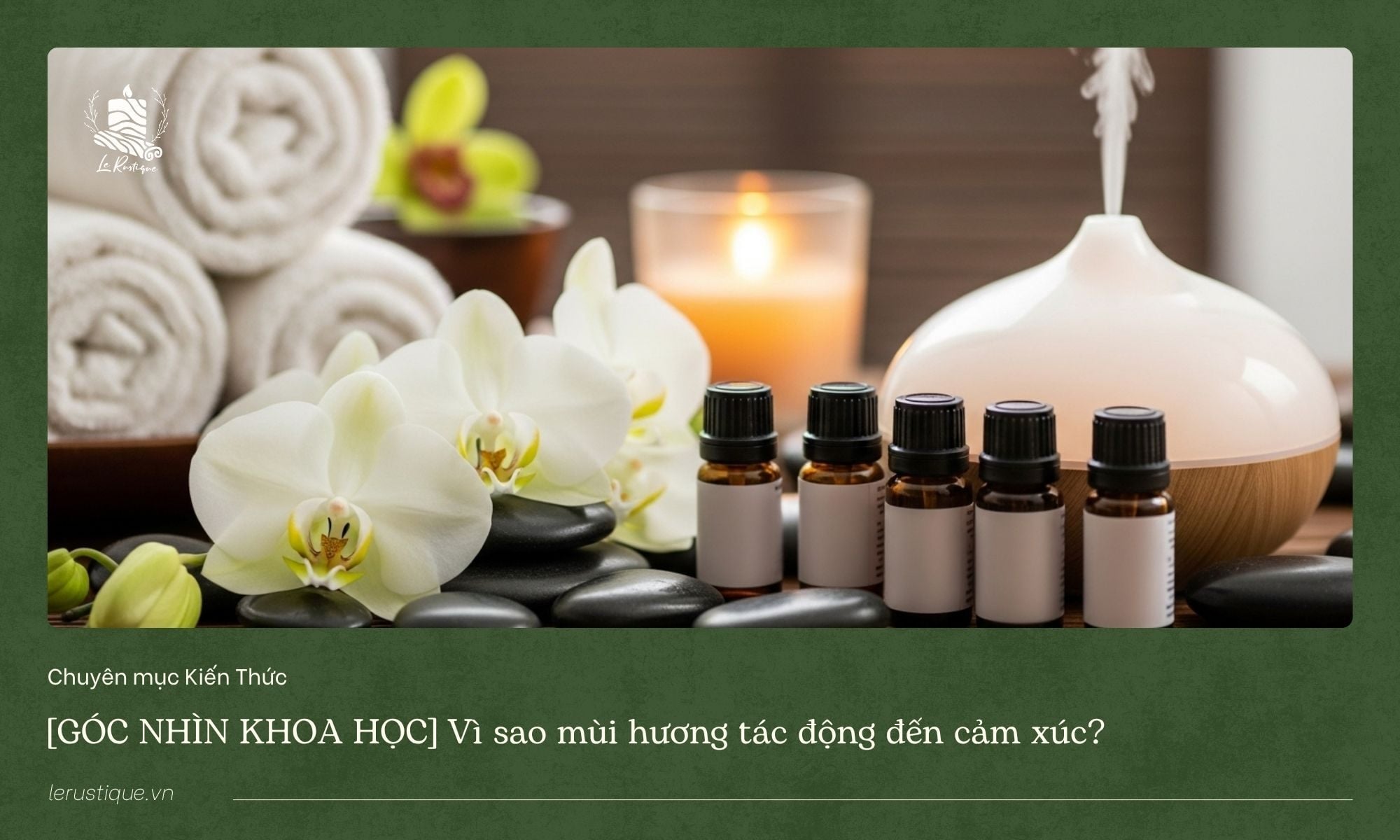 [GÓC NHÌN KHOA HỌC] Vì sao mùi hương tác động lên cảm xúc?