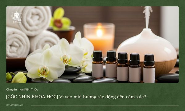 [GÓC NHÌN KHOA HỌC] Vì sao mùi hương tác động lên cảm xúc?