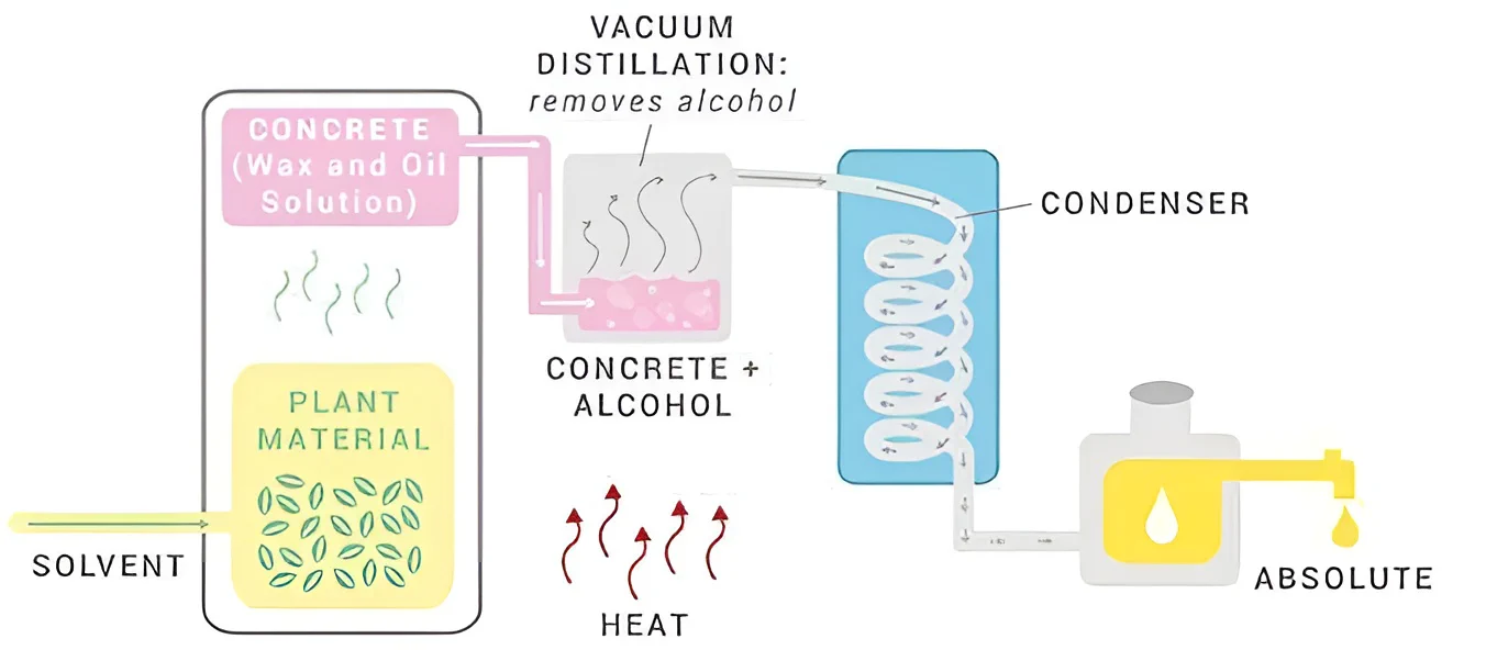 Phương pháp chưng cất tinh dầu thiên nhiên hoa hồng