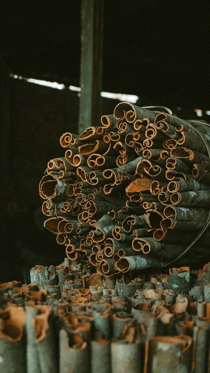 nguyên liệu vỏ quế thiên nhiên