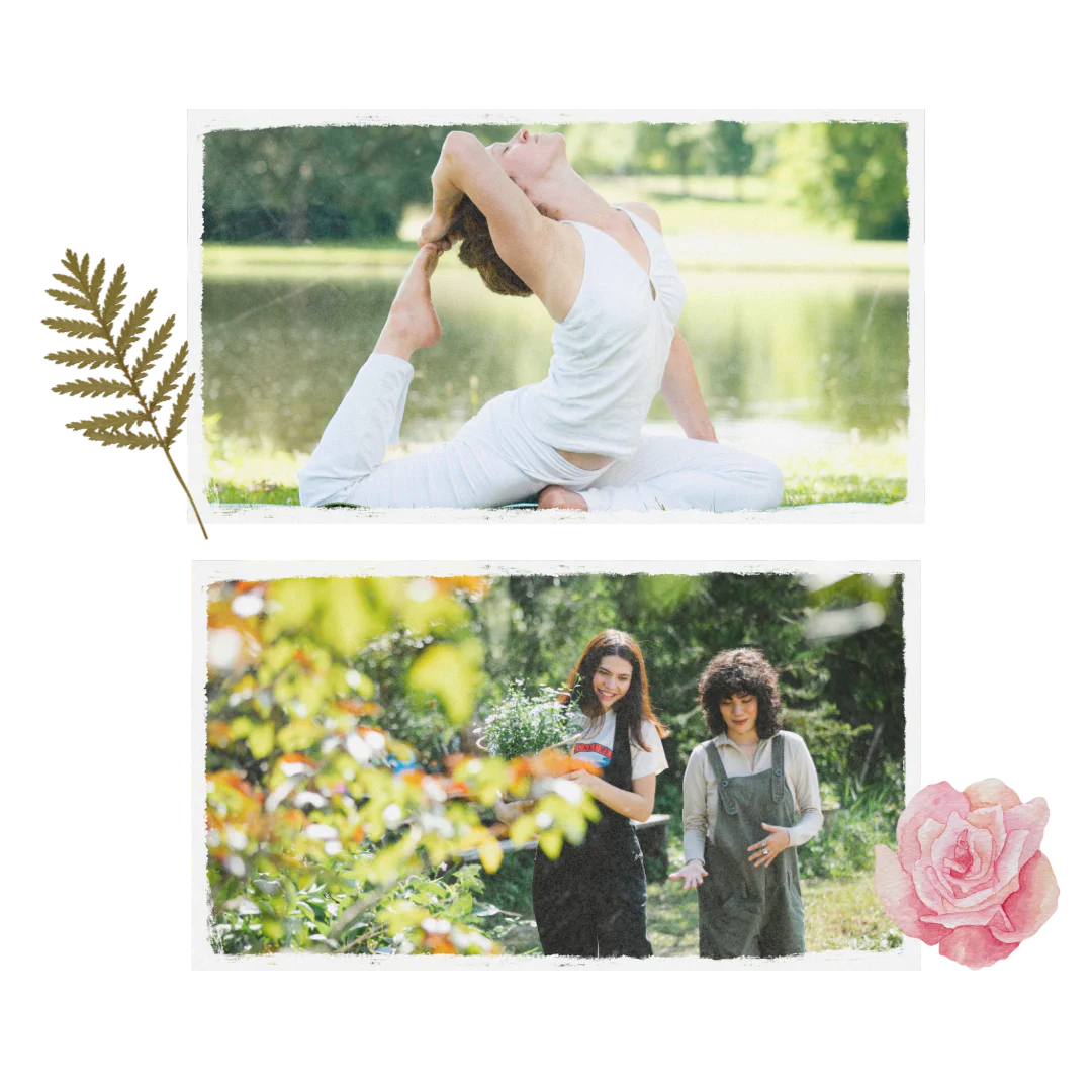 tinh dầu hoa hồng cân bằng cảm xúc