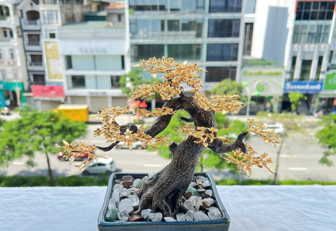 Cây hoa mai ngũ phúc mạ vàng, mai vàng rồng việt