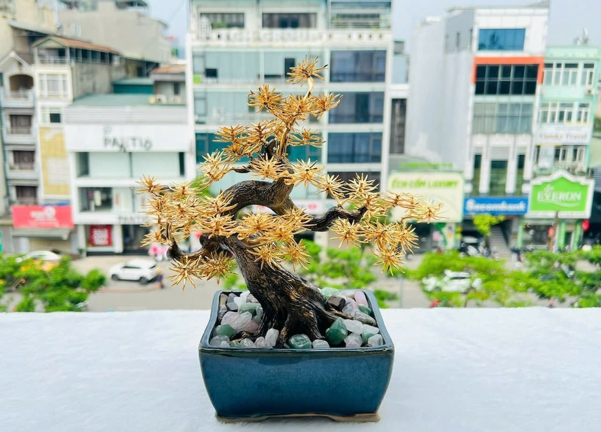 Tùng La Hán mạ vàng, chậu Tùng la hán dát vàng 24K