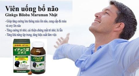Ginkgo Biloba Đức – Nhật: Hỗ trợ tăng tuần hoàn máu não, cải thiện trí nhớ và sự tập trung