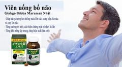Ginkgo Biloba Đức – Nhật: Hỗ trợ tăng tuần hoàn máu não, cải thiện trí nhớ và sự tập trung