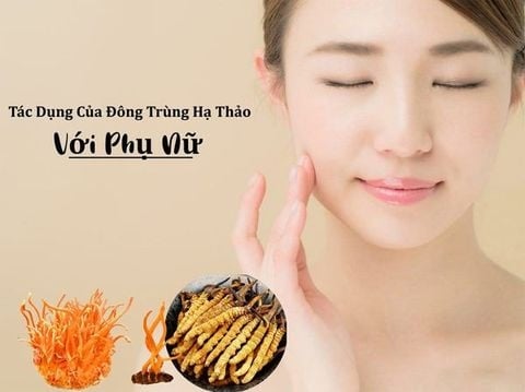 Bất ngờ với những tác dụng của đông trùng hạ thảo với phụ nữ
