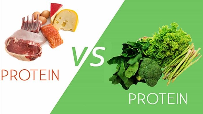 Đạm động vật và đạm thực vật - Đâu mới là lựa chọn phù hợp?