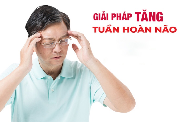 Giải pháp tăng cường tuần hoàn máu não hiệu quả và an toàn
