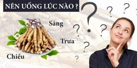 Sử dụng đông trùng hạ thảo vào lúc nào cho hiệu quả tốt nhất?