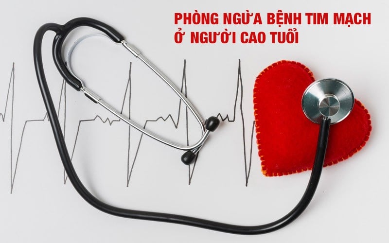 Phòng ngừa bệnh tim mạch ở người cao tuổi