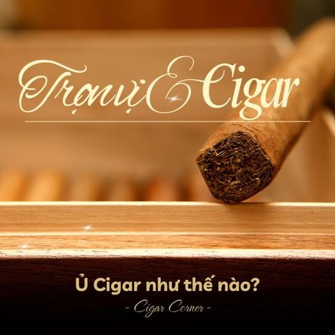 VÌ SAO PHẢI Ủ CIGAR?
