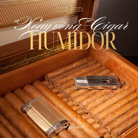 BAO LÂU NÊN “XOAY VÒNG” CIGAR TRONG HUMIDOR?