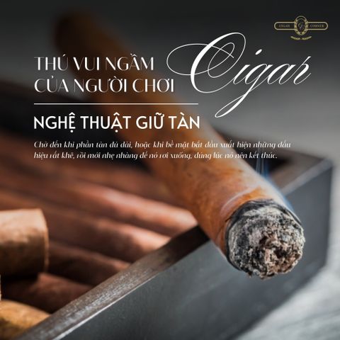 THÚ VUI NGẦM CỦA NGƯỜI CHƠI CIGAR – NGHỆ THUẬT GIỮ TÀN
