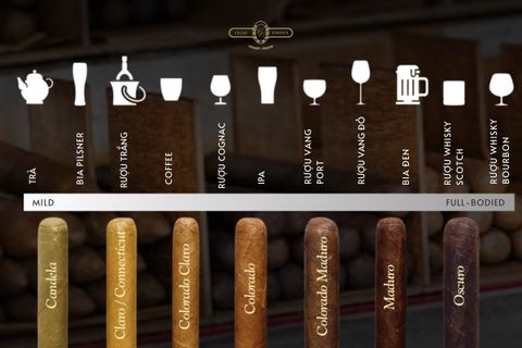 HIỂU CIGAR QUA MÀU WRAPPER & CÁCH THƯỞNG THỨC