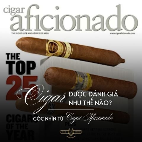 CIGAR ĐƯỢC ĐÁNH GIÁ NHƯ THẾ NÀO?