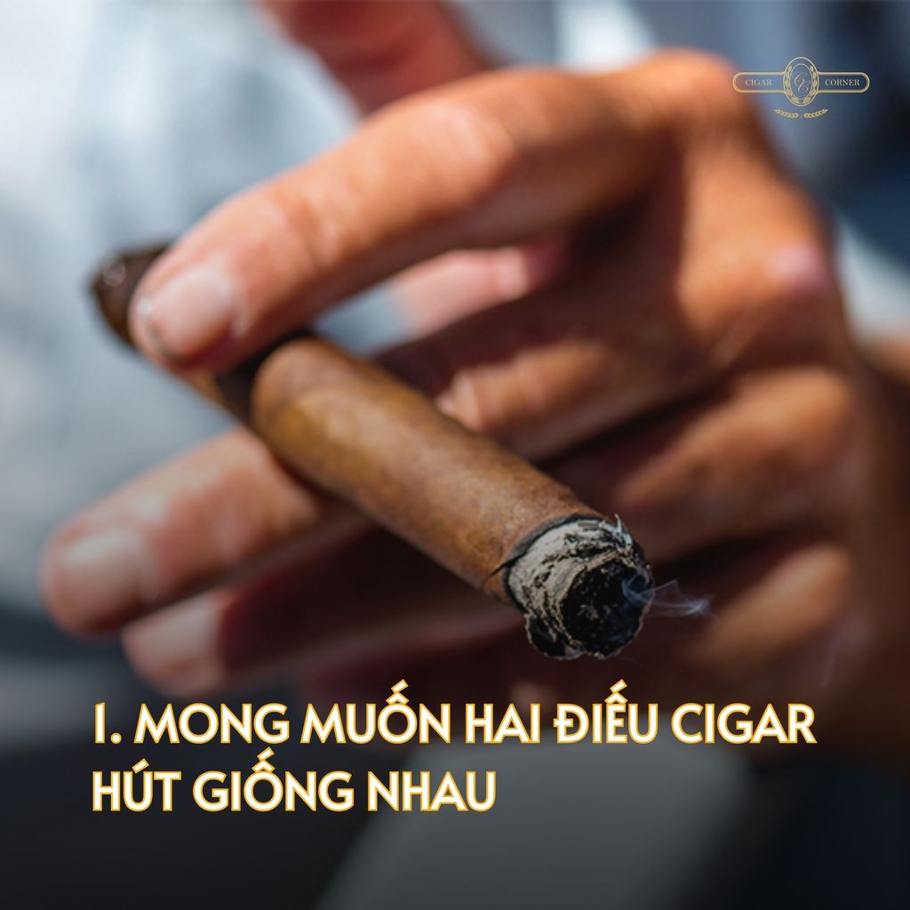 ĐIỀU NGƯỜI HÚT CIGAR THỰC THỤ KHÔNG BAO GIỜ LÀM – Cigar Corner