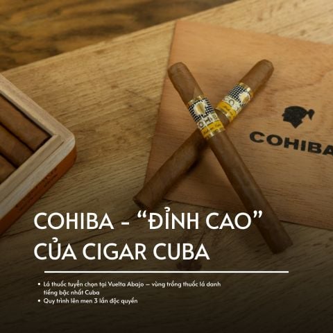 LÝ DO ĐẶC BIỆT KHIẾN Cohiba TRỞ THÀNH BIỂU TƯỢNG CIGAR CỦA CUBA