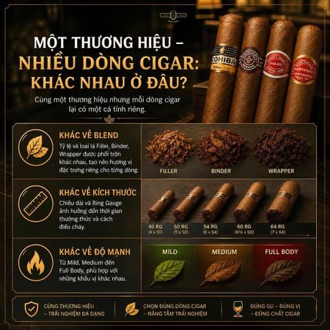 MỘT THƯƠNG HIỆU - NHIỀU DÒNG CIGAR: KHÁC NHAU Ở ĐÂU?