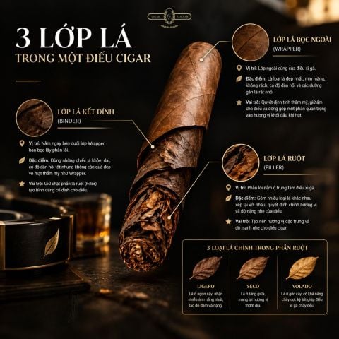 3 LỚP LÁ 1 KIỆT TÁC
