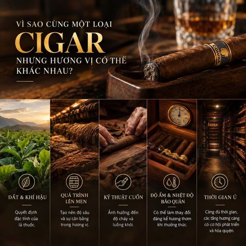 💨  VÌ SAO CÙNG MỘT LOẠI CIGAR NHƯNG HƯƠNG VỊ CÓ THỂ KHÁC NHAU?