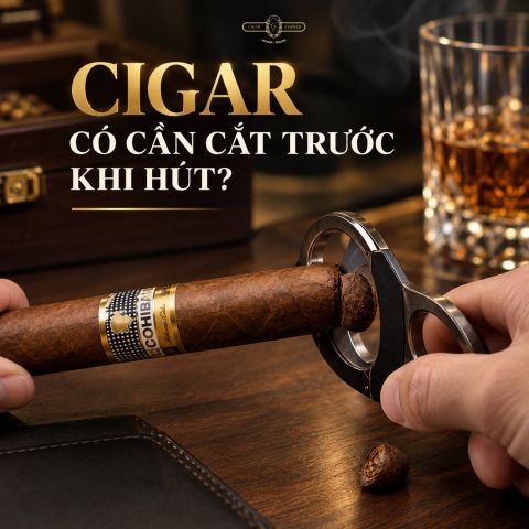 CIGAR CÓ CẦN C.ẮT TRƯỚC KHI HÚT?