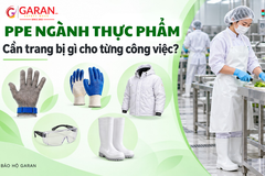PPE ngành thực phẩm: Cần trang bị gì cho từng công việc?