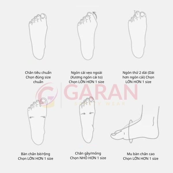 Hướng dẫn chọn size giày EVA