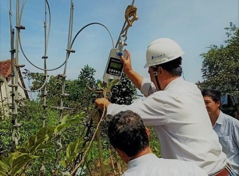 STC & VNPT test thực nghiệm máy đo lực căng và căng dây cáp tại Quảng Ngãi