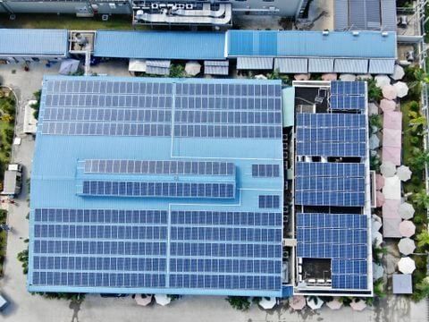 DỰ ÁN CT TNHH TM DV THUỐC THÚ Y THỦY SẢN ÁNH VIỆT