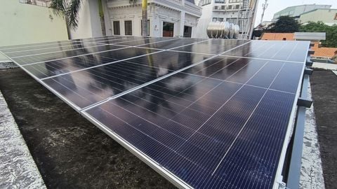 Động thái của Cơ quan chức năng năm 2026