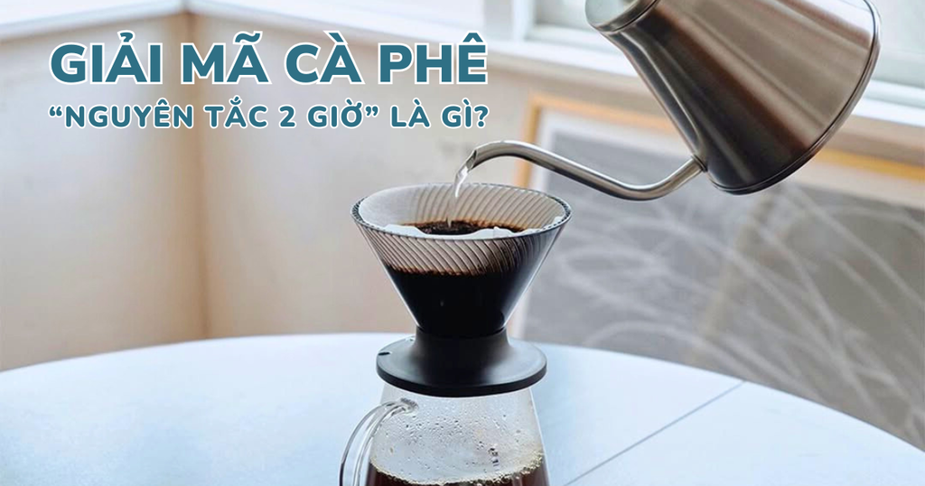 CÀ PHÊ VÀ KHOA HỌC: GIẢI MÃ 