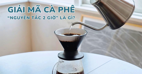 CÀ PHÊ VÀ KHOA HỌC: GIẢI MÃ 