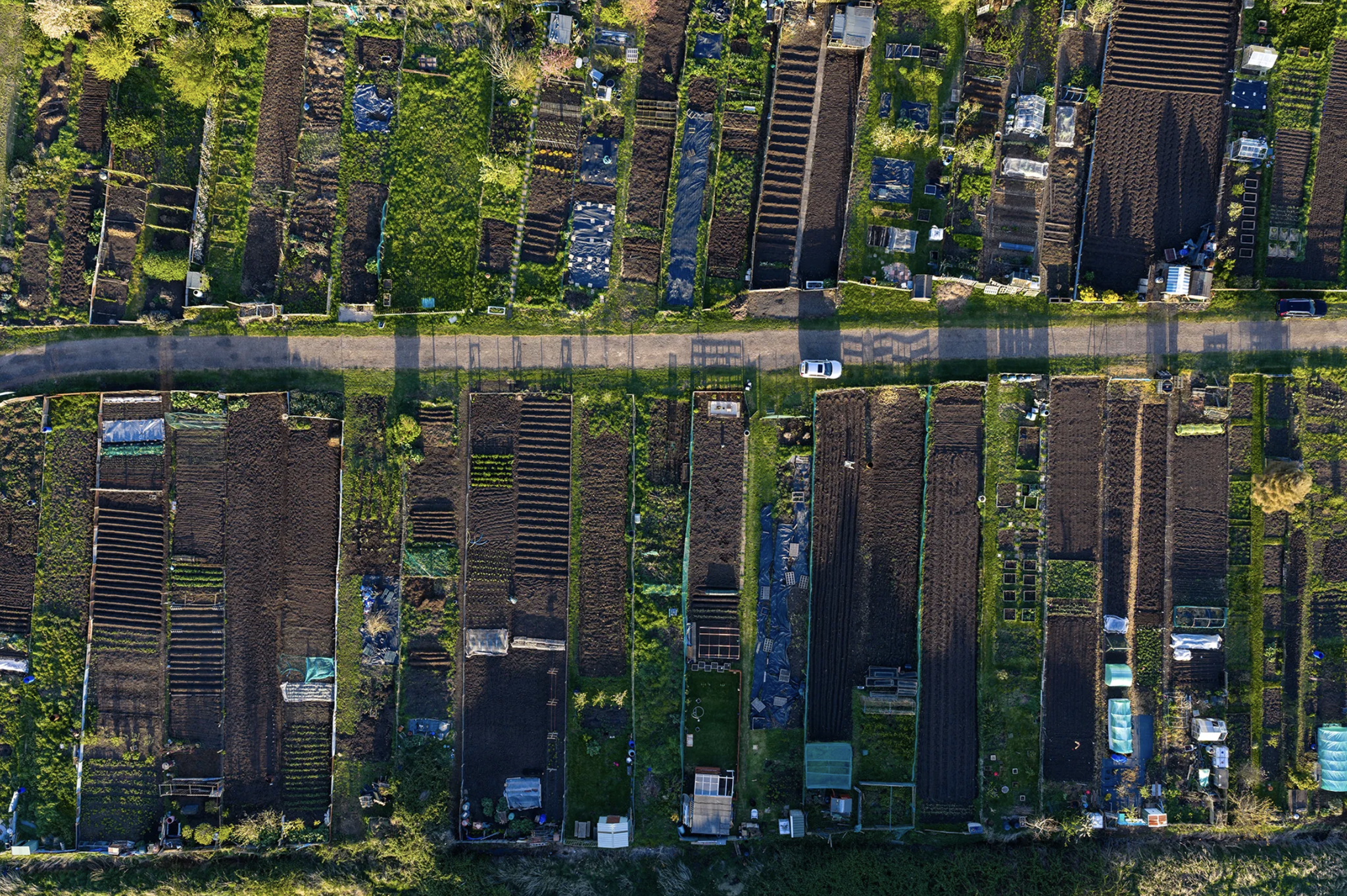 mavic 4 pro